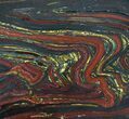 Polished Tiger Iron Stromatolite - ( Billion Years) #63997-1
